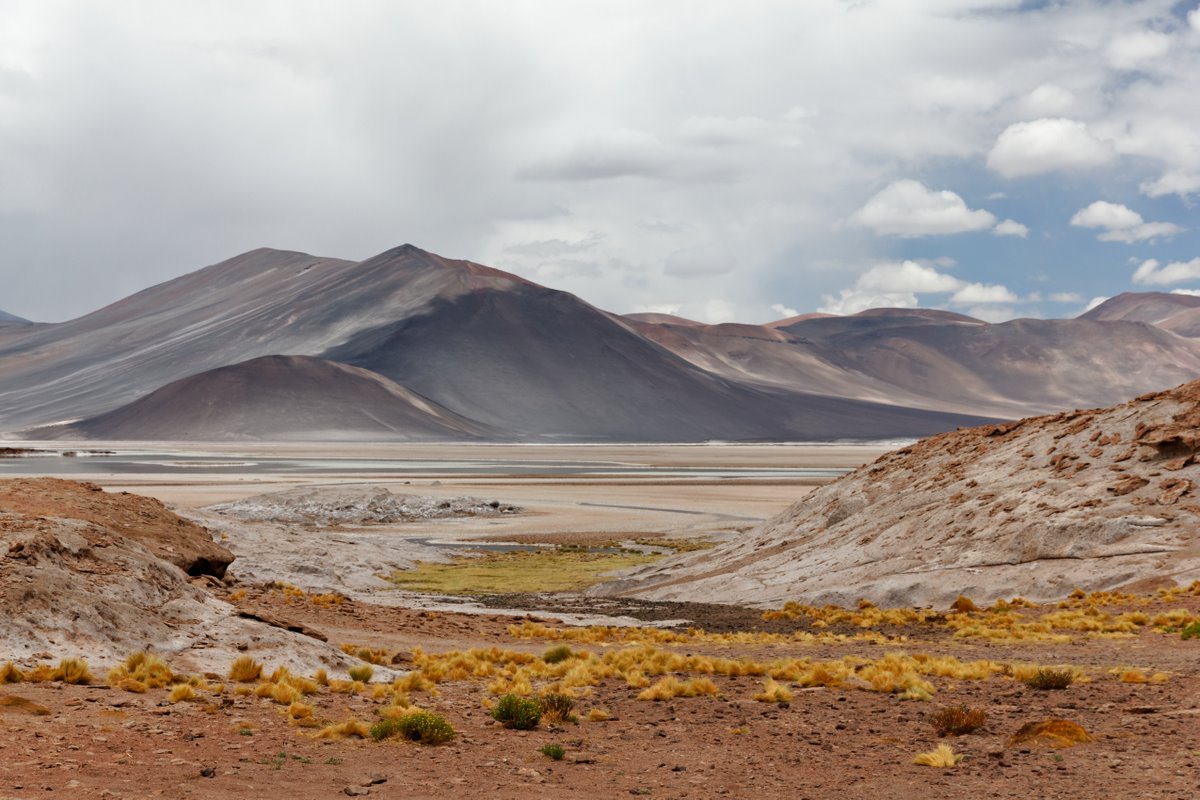 2011_01_26_IMG_0464_DxO_Chile_Atacama